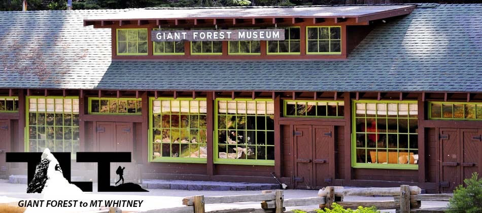 GiantForestMuseum