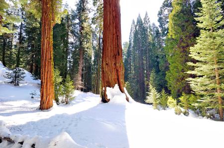 Kings Canyon National Park