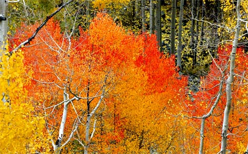 San Juan Mountains Colorado