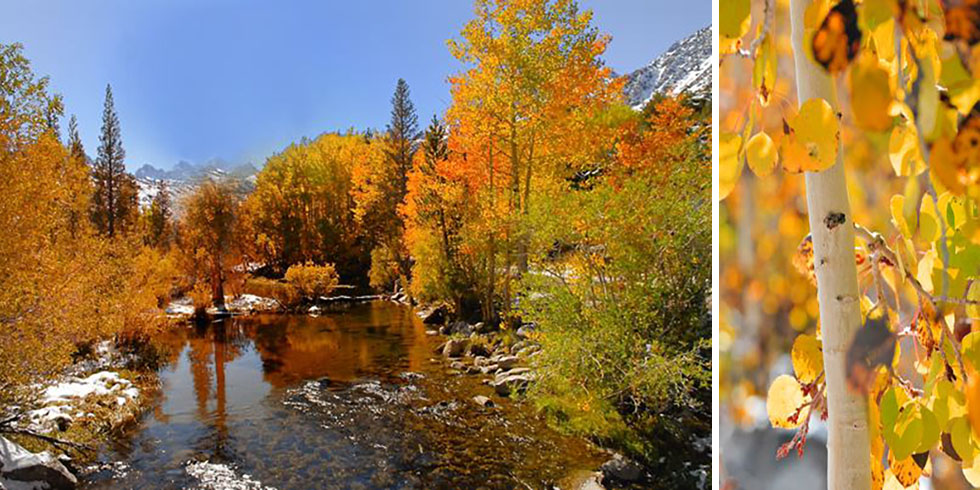 Bishop Canyon Sierra Nevada
