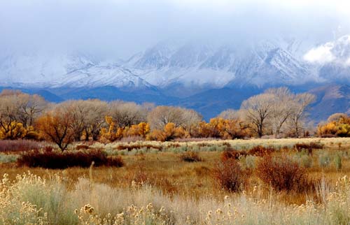 Owens Valley Bishop California