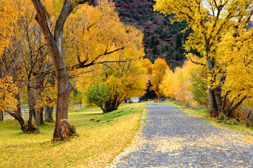 Ouray Colorado