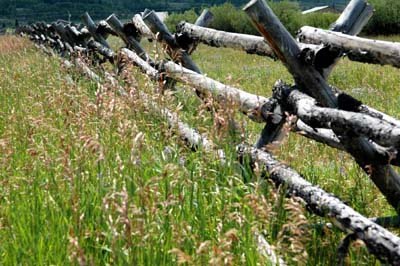 Buck and Rail Fence