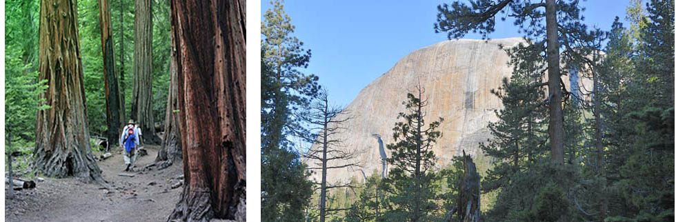 Backside of Half Dome