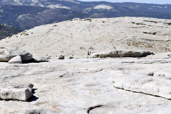 Half Dome Summit Plateau