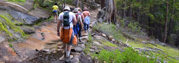 Timberline Hike
