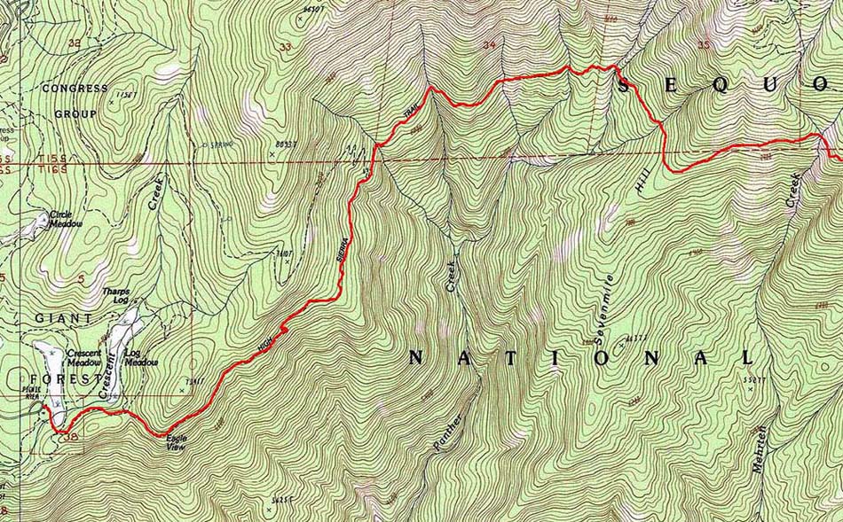 Giant Forest Trail Map