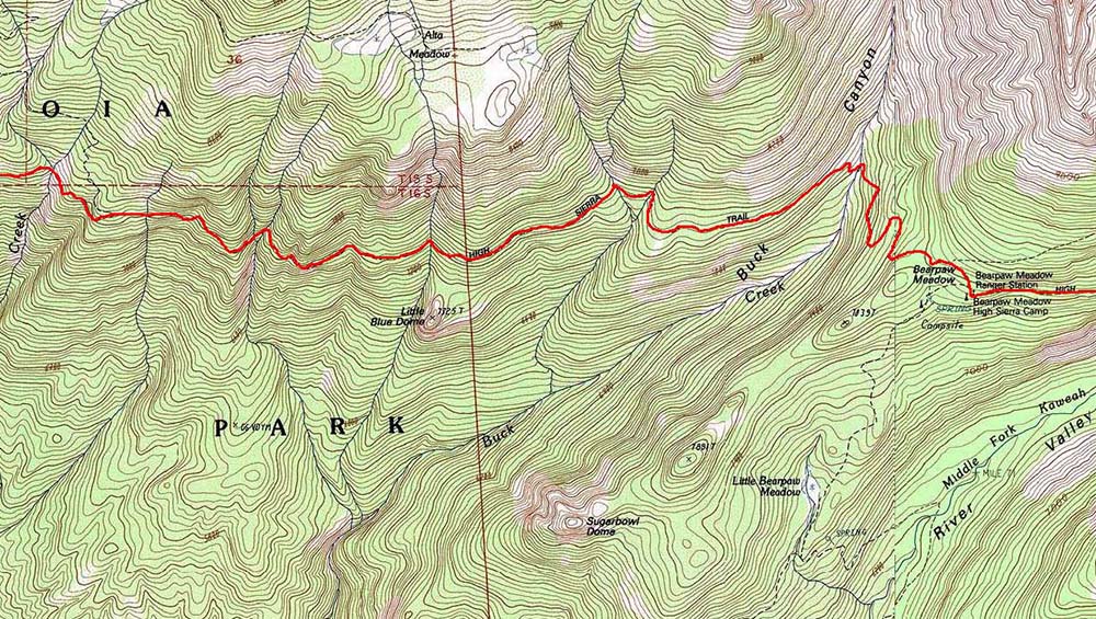 Giant Forest Trail Map