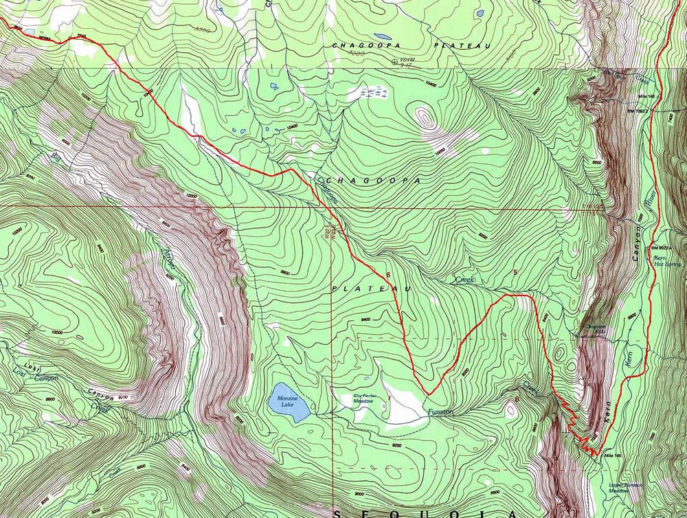 Giant Forest Trail Map