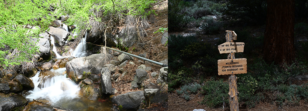North Fork Big Pine Creek Trail Intersection