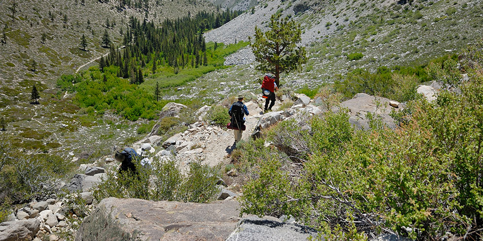 North Fork Big Pine Creek Trail