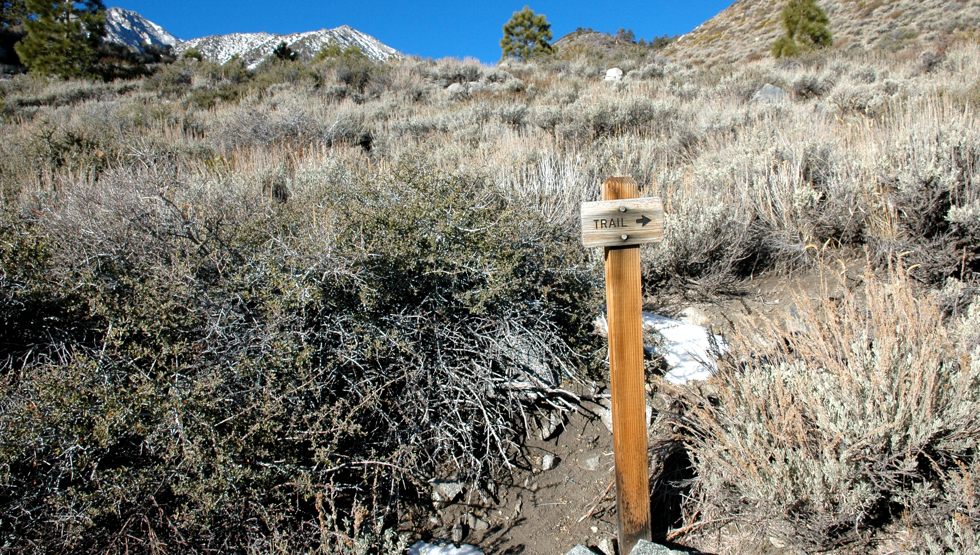 North Fork Big Pine Creek