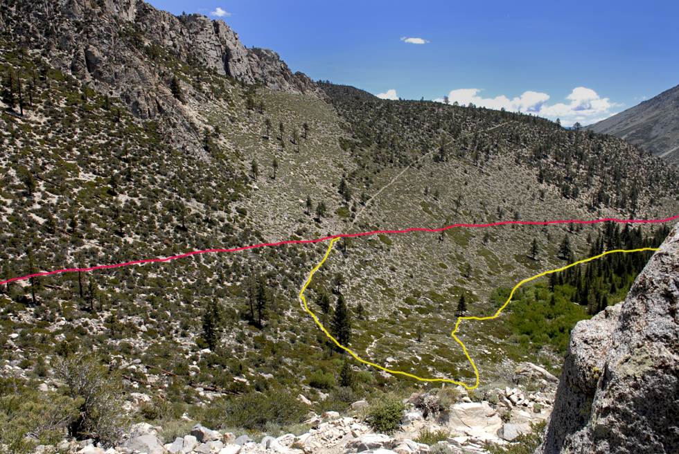 North Fork Big Pine Creek Trail Intersection