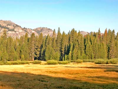 Agnew Meadows