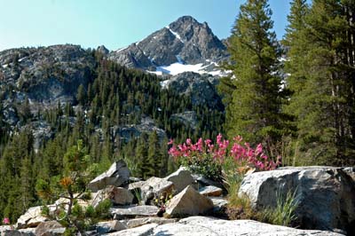 Mt Ritter in the Background