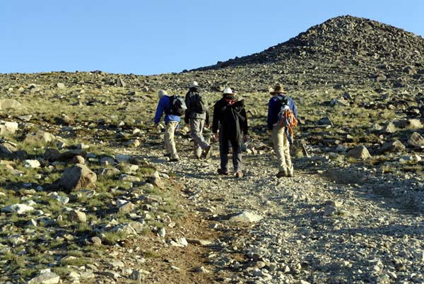 Trail Nearing the Last push to the Summit of White Mountain