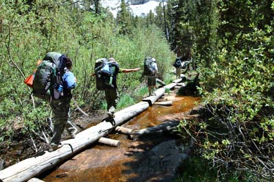 Log Crossing