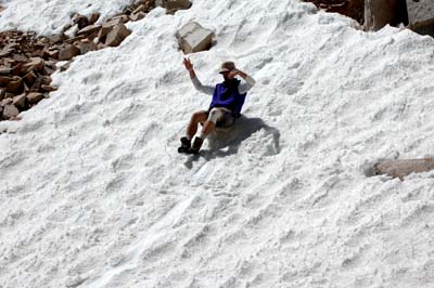 Trailside Snow