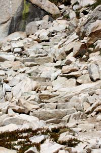 Stone Steps